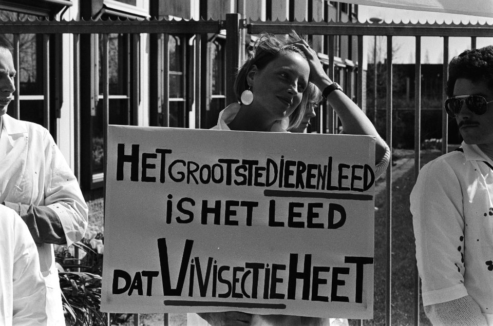 Protest tegen vivisectie bij Bayer in Mijdrecht in kader Wereldproefdierendag, Bestanddeelnr 933-3051