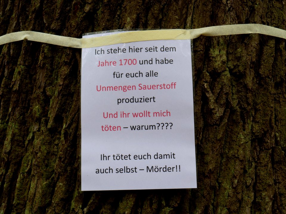 Protest sign in the Hambach forest 07