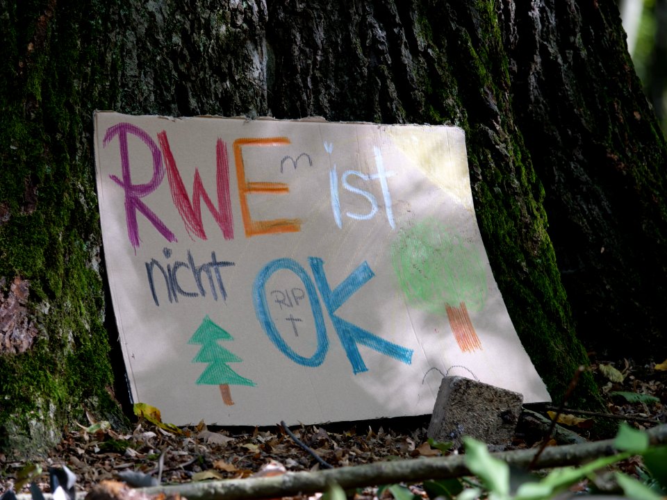 Protest sign in the Hambach forest 02