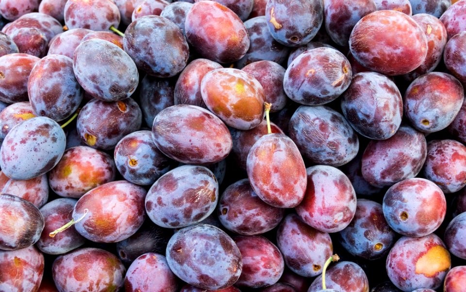 Prunes Viktualienmarkt Munich