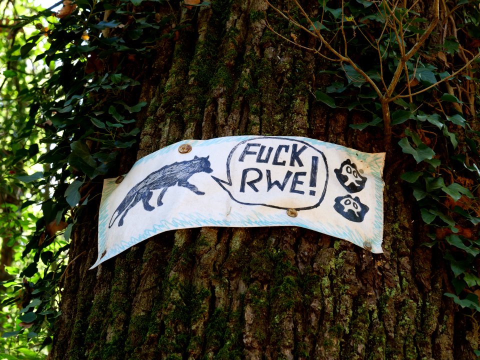 Protest sign in the Hambach forest 03
