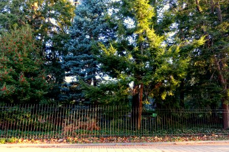 Prospect Gardens - Princeton University - Princeton, NJ -DSC00831