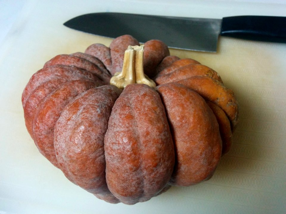 Pumpkin in Japan