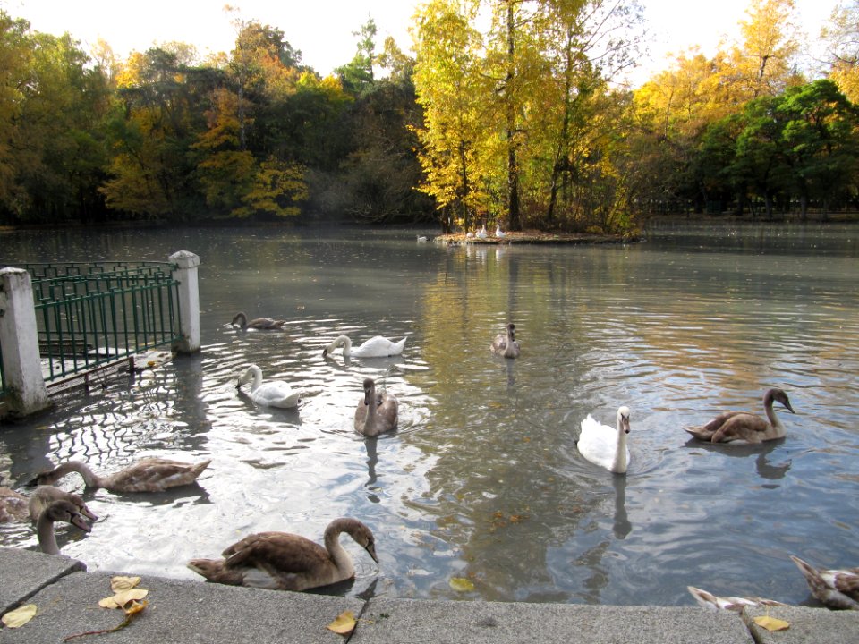 Prudvparke