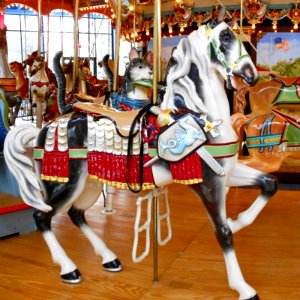 Proud Horse Carousel Philly