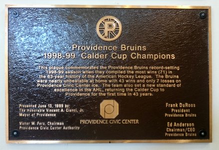Providence Bruins 1998-99 Calder Cup Champions plaque