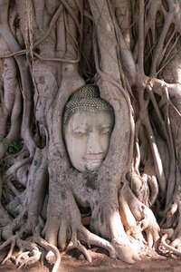 Thailand buddha ruin photo