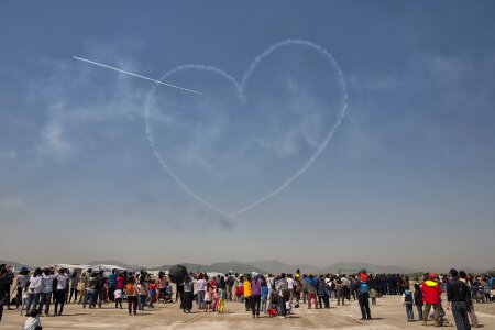 Heart love black eagles