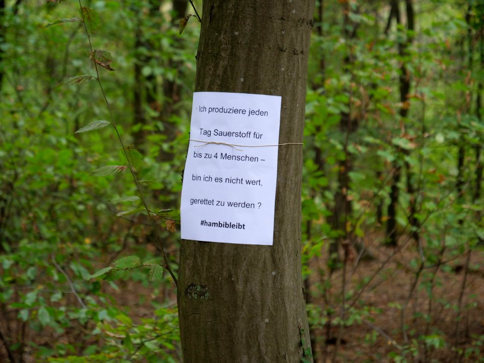 Protest sign in the Hambach forest 01
