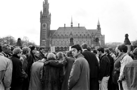 Pro-Vietnam demonstratie in Den Haag, Bestanddeelnr 920-2458