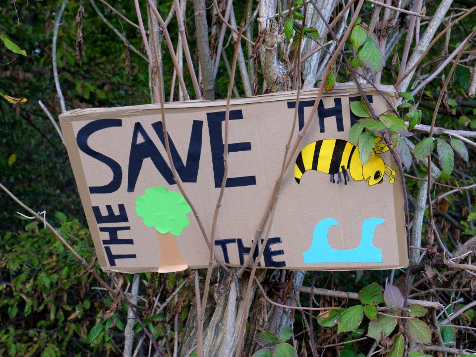 Protest sign in the Hambach forest 09
