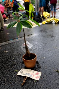 Protest at Willy-Brandt-Haus Berlin 2020-07-01 196