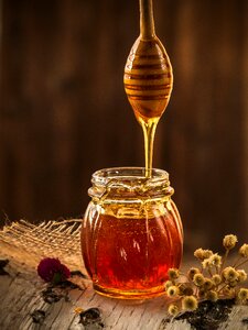 Nature beekeeping apiary photo