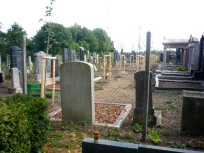Prostějovský židovský hřbitov v létě 2015