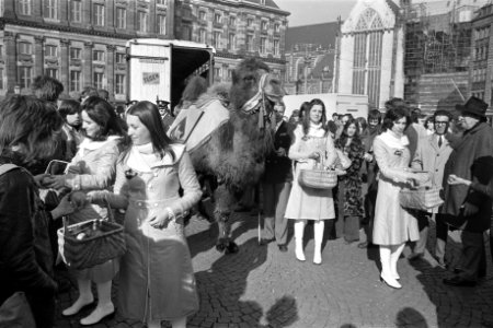 Propaganda-actie voor Marokkaanse sinaasappels in Amsterdam meisjes lopen met k…, Bestanddeelnr 925-4607