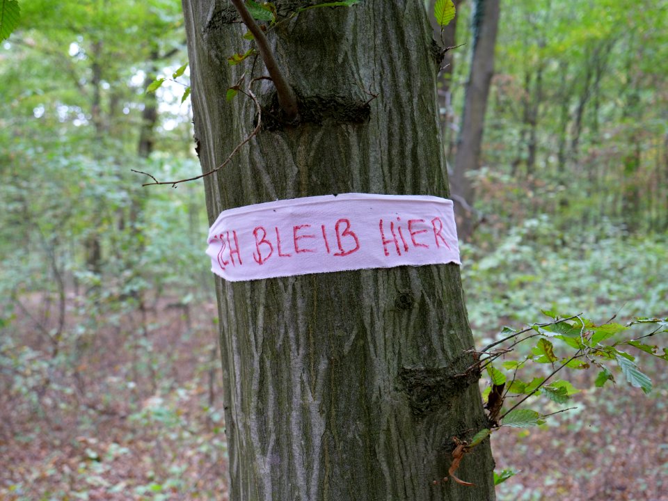 Protest banner in the Hambach forest 01