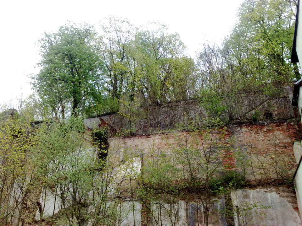 Prosetice 27 04 2013 21