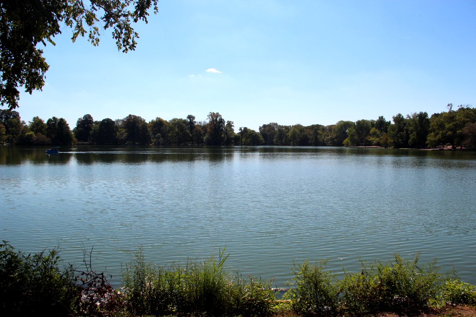 Prospect Park Lake, Brooklyn Oct 2017