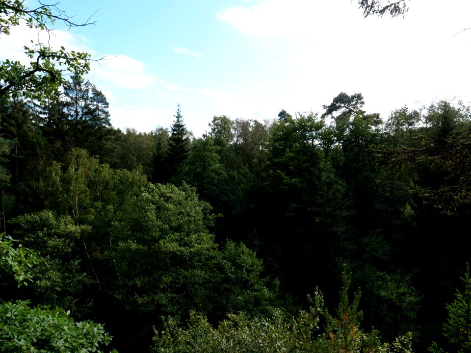 Prossent near Vennbahn 01