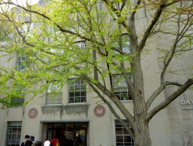 Prospective students and parents at Day Hall at Cornell University