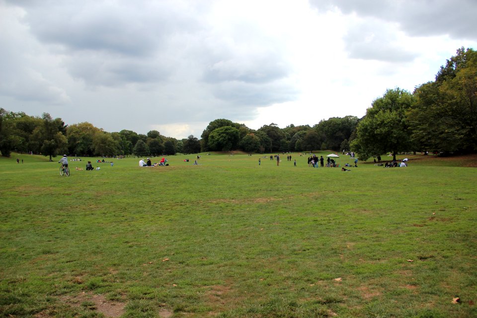 Prospect Park field, Brooklyn Sept 2017 1