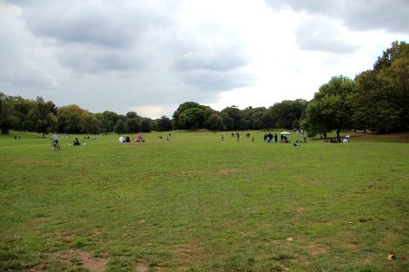 Prospect Park field, Brooklyn Sept 2017 1