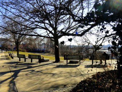 Prospect Hill Park - Somerville, MA - DSC03344