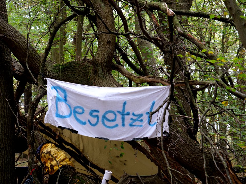 Protest banner in the Hambach forest 04