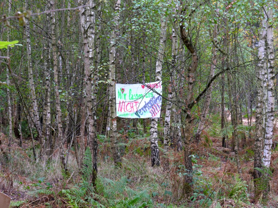Protest banner in the Hambach forest 06