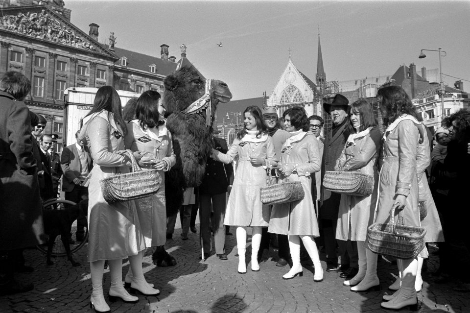 Propaganda-actie voor Marokkaanse sinaasappels in Amsterdam meisjes lopen met k…, Bestanddeelnr 925-4610