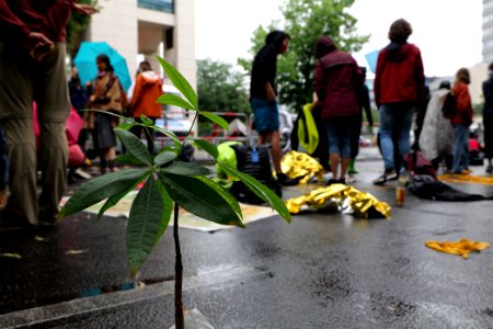 Protest at Willy-Brandt-Haus Berlin 2020-07-01 198