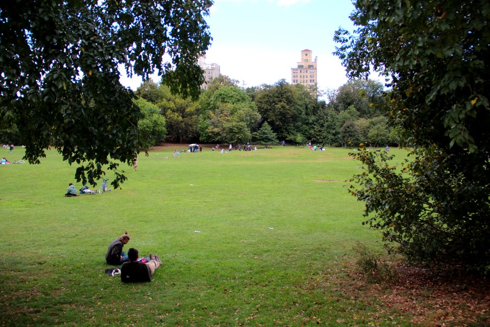 Prospect Park field, Brooklyn Sept 2017 2