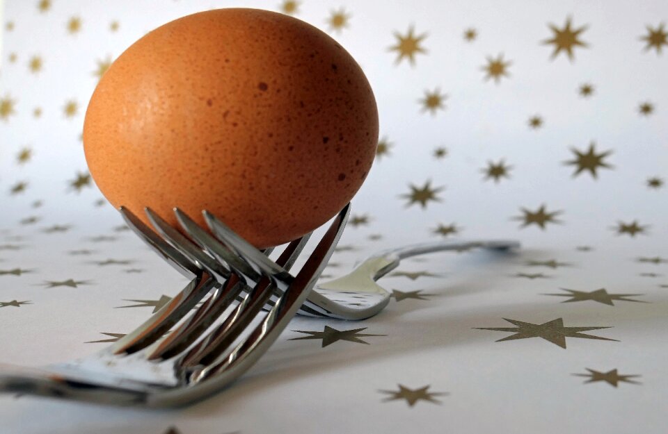 Food origin of life nutrition