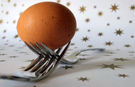 Food origin of life nutrition