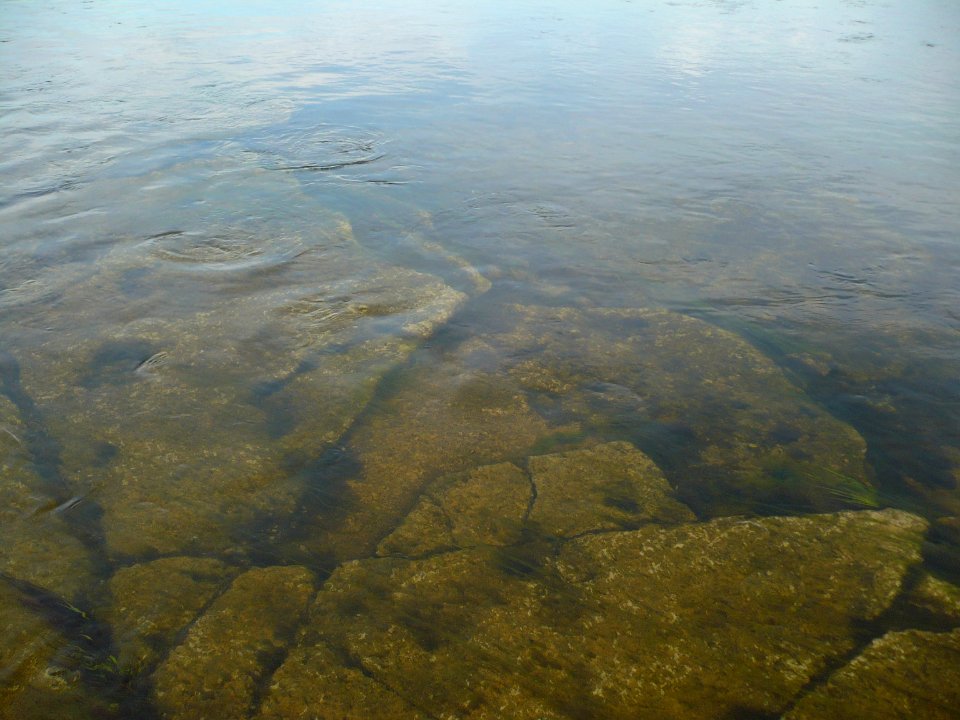 Pskov 2011-08-06 19-59-26