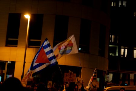 Protest in front of FDP headquarter after Thuringia prime minister election 2020-02-05 37