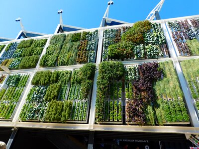 Milan 2015 vertical garden