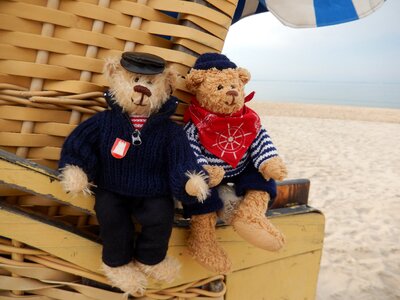Teddies sailors coast