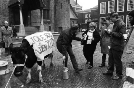 Protest melkveehouders op Binnenhof tegen superheffing koe wordt gemolken en mel, Bestanddeelnr 933-1766
