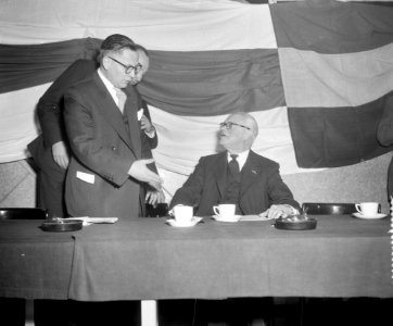 Protestbijeenkomst vanwege Russische inval in Hongarije in de Twentehallen in En, Bestanddeelnr 908-1254