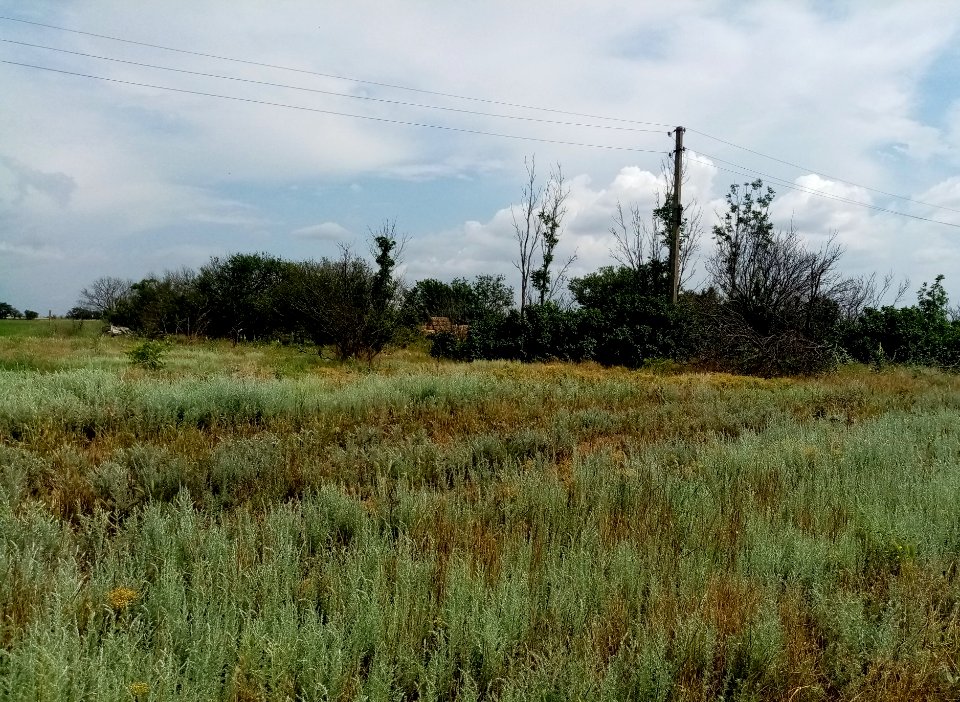 RaduzhnoeCr 4