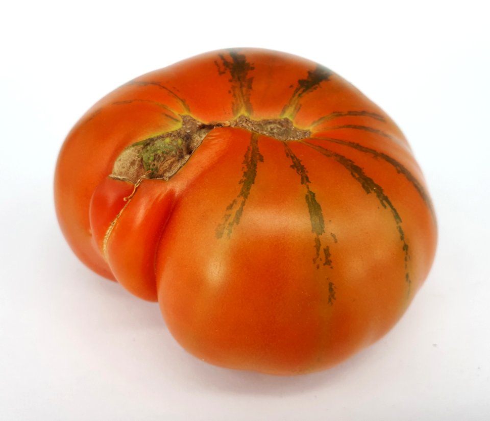 Raf tomato 2017 G3