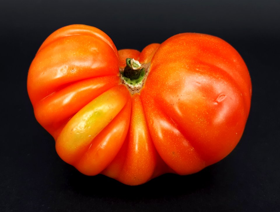 Raf tomato 2017 F2
