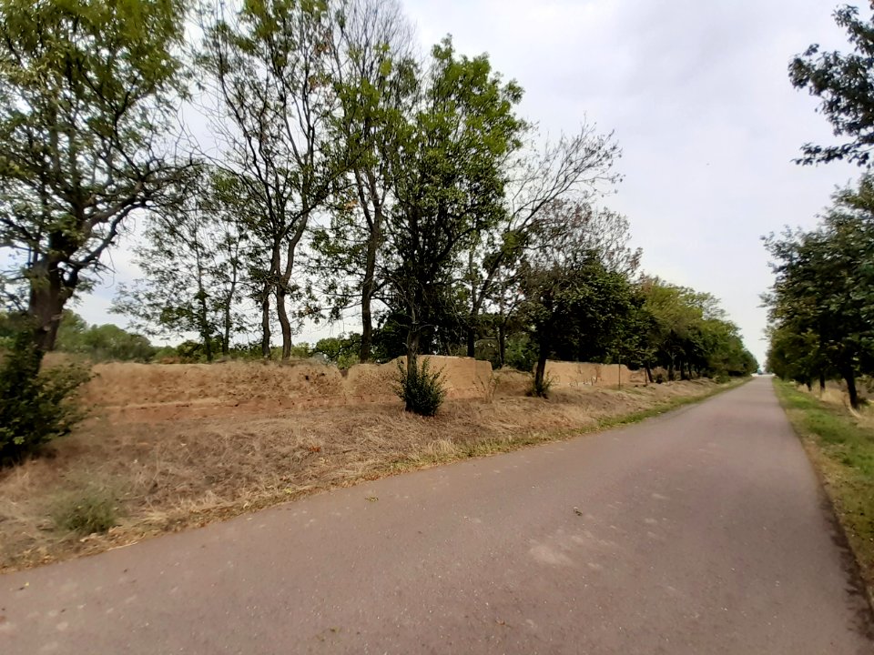 Radweg HallePetersbergFuhne