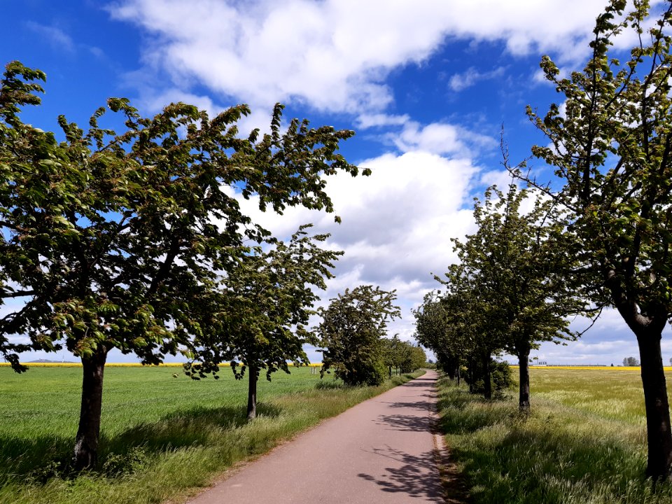 Radweg HallePetersbergFuhne2
