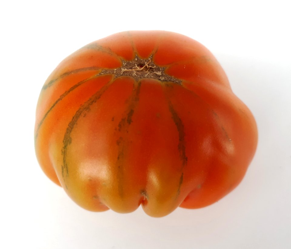 Raf tomato 2017 C2