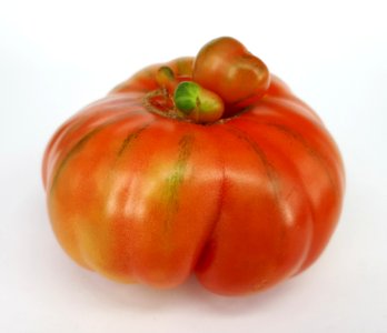Raf tomato 2017 H3