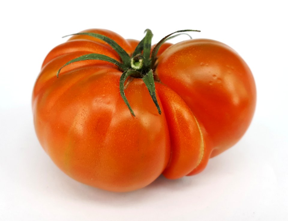 Raf tomato 2017 G2