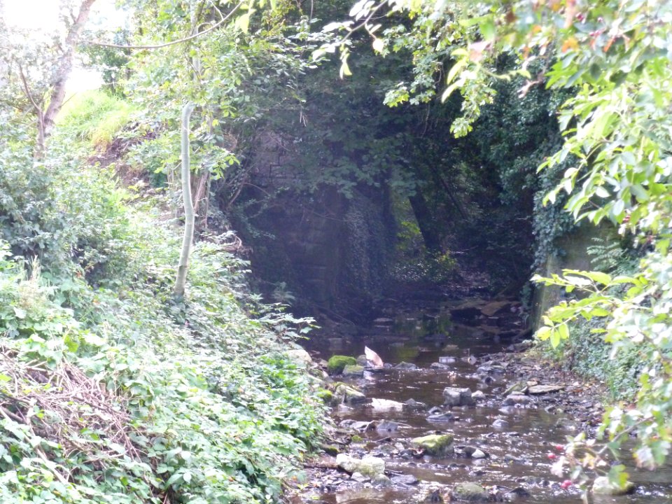 Raeren-Hohe Brücke (3)