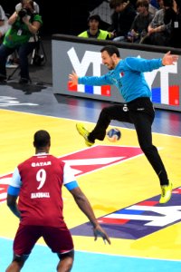 Rafael Capote et Goran Stojanovic-GoldenLeague-20160110